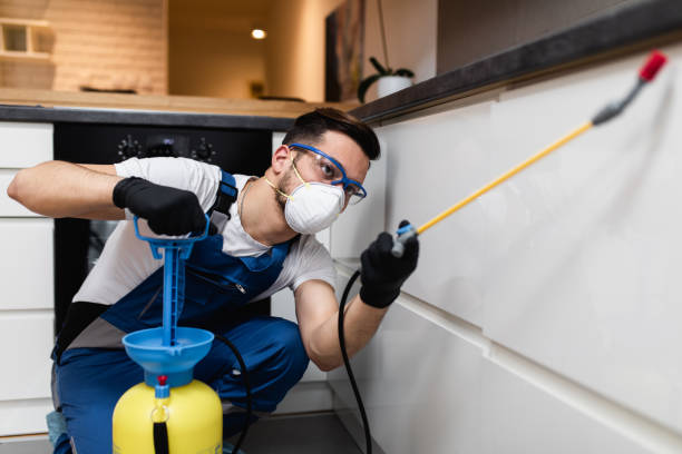 Best Wasp Removal Services  in Cadillac, MI