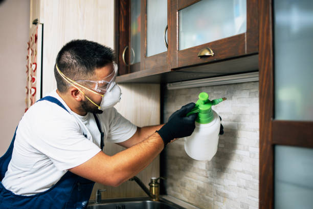 Best Pest Inspection Near Me  in Cadillac, MI