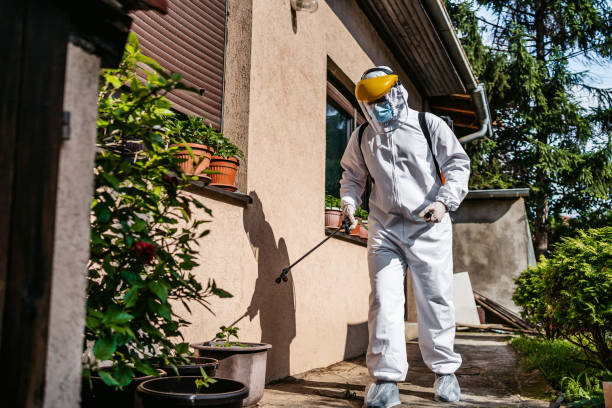 Best Ant Control Services  in Cadillac, MI