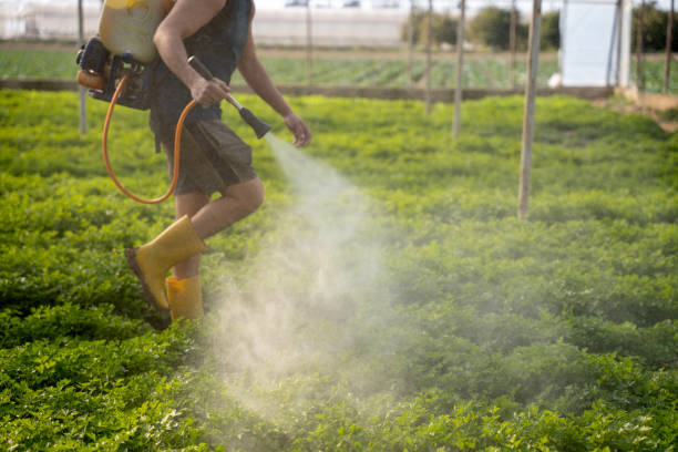 Best Pest Control Treatment  in Cadillac, MI