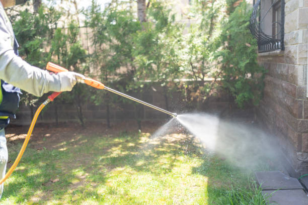 Best Rat Extermination Near Me  in Cadillac, MI