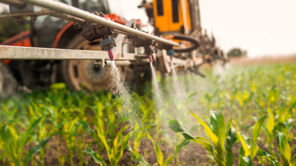 Best Commercial Pest Control Services  in Cadillac, MI